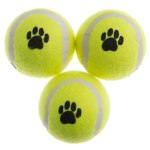 291460-Super-Bouncy-Tennis-Balls-3-pack-21